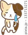 悲しい猫 133713271