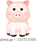 pig isolated on white background 133713305