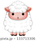 fluffy lamb 133713306