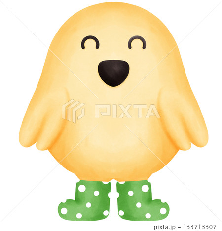 Baby bird wearing green boots 133713307