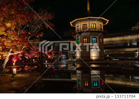 水鏡に映るライトアップの塔と紅葉（秋の夜景） 133713704