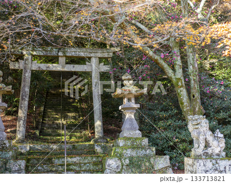 晩秋の神社の風景 晩秋の神社の風景 133713821