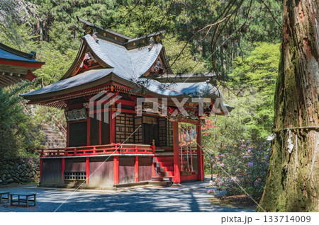 茨城 花園神社の拝殿 茨城 花園神社の拝殿 133714009