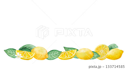 Watercolor lemons, leaves and flowers with branch isolated illustration set. Simple citrus fruits clip art for summer Watercolor lemons, leaves and flowers with branch isolated illustration set. Simple citrus fruits clip art for summer 133714585
