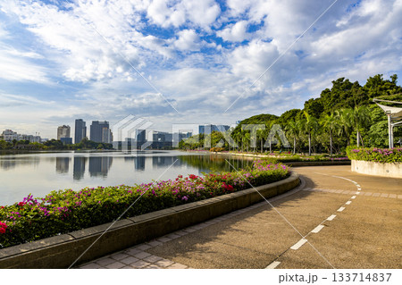 タイ王国バンコクのベンジャキティ公園と高層ビル 133714837