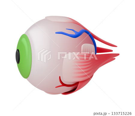 Surreal Fish Eye Creature in 3D Illustration 133715226