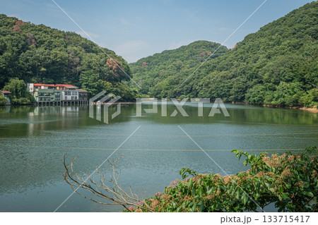 夏の円良田湖と緑豊かな山並みが広がる静かな湖畔風景 夏の円良田湖と緑豊かな山並みが広がる静かな湖畔風景 133715417