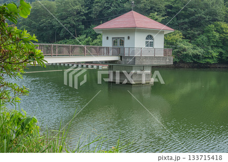 円良田湖に佇む取水塔と緑映える静かな夏の湖畔風景 円良田湖に佇む取水塔と緑映える静かな夏の湖畔風景 133715418
