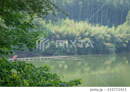 夏の円良田湖と竹林を望む静かな釣り桟橋の風景 133715421