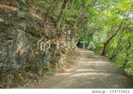 夏の円良田湖を囲む木陰の遊歩道と岩肌の静かな風景 133715422