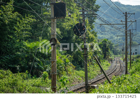 夏の秩父鉄道・長瀞町を走る緑に囲まれたローカル線風景 夏の秩父鉄道・長瀞町を走る緑に囲まれたローカル線風景 133715425