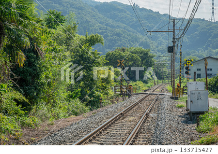 夏の長瀞町・秩父鉄道の踏切と線路を望む静かな田園風景 夏の長瀞町・秩父鉄道の踏切と線路を望む静かな田園風景 133715427