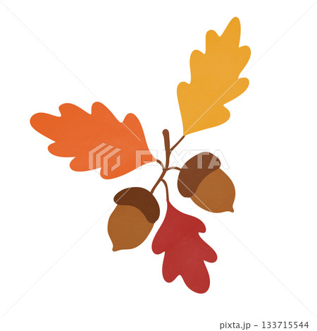 set of autumn leaves 133715544