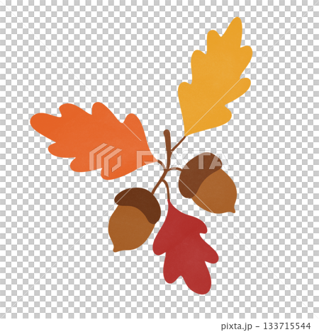 set of autumn leaves 133715544