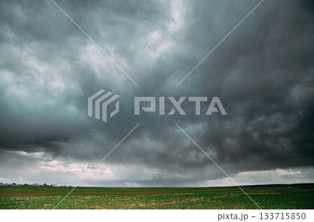 Countryside Rural Field Spring Meadow During Rain. Rain Clouds On Horizon. Agricultural And Weather Forecast Concept Countryside Rural Field Spring Meadow During Rain. Rain Clouds On Horizon. Agricultural And Weather Forecast Concept 133715850