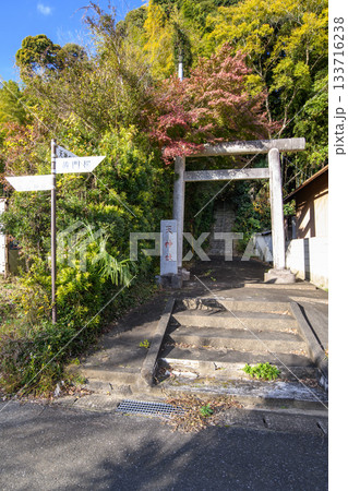 天神の森 天神社参道 千葉県匝瑳市 天神の森 天神社参道 千葉県匝瑳市 133716238
