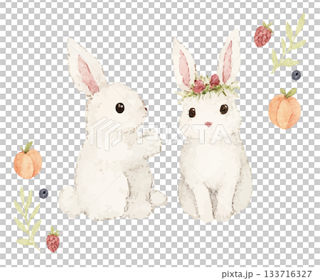 Rabbit and fruit watercolor style 133716327