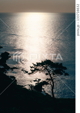 山陰ジオパークの海岸風景 133716632
