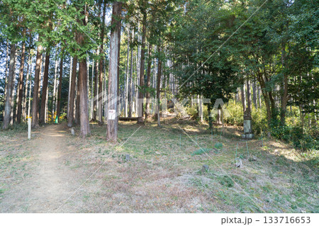 愛宕山の登山口（奥武蔵） 133716653