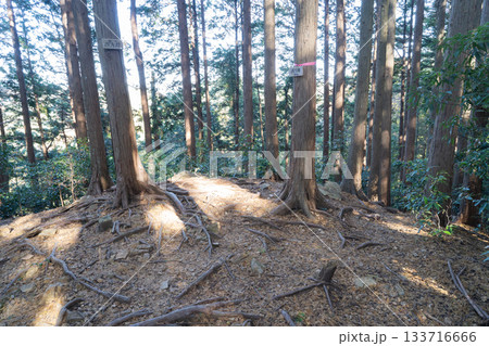 西大峰の山頂(奥武蔵) 西大峰の山頂(奥武蔵) 133716666