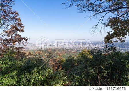 日和田山の山頂から見た景色（奥武蔵） 133716676