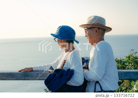 展望台で景色を眺めるシニア夫婦 133716722