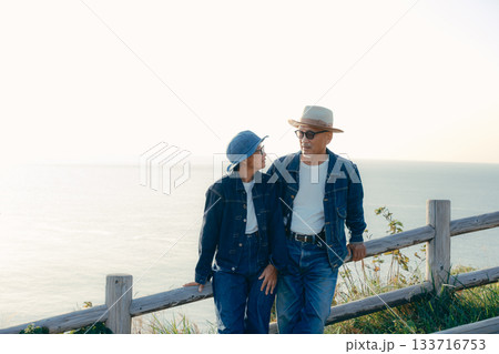 展望台で景色を眺めるシニア夫婦 展望台で景色を眺めるシニア夫婦 133716753