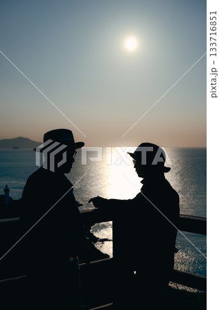 夕暮れの海を眺めるシニア夫婦のシルエット 133716851