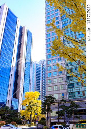 秋色に色づいた明洞の都市風景 秋色に色づいた明洞の都市風景 133717029