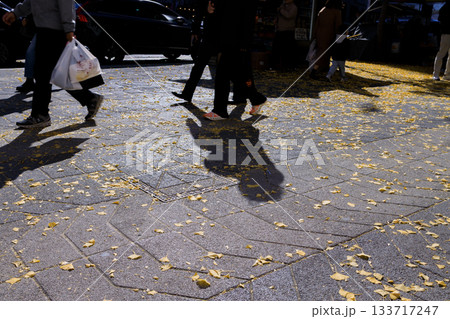秋の歩道を通過する人々のシルエット 133717247