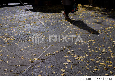 秋の歩道を通過する人々のシルエット 133717248