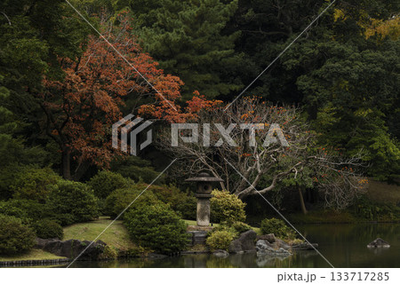 秋の日本庭園の風景 東京 六義園 秋の日本庭園の風景 東京 六義園 133717285