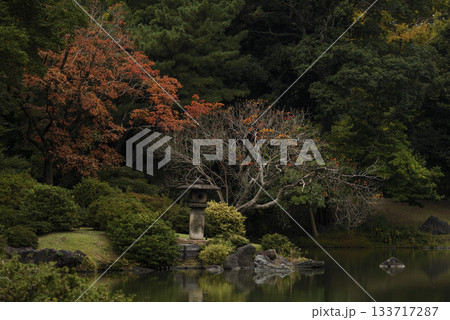 秋の日本庭園の風景 東京 六義園 秋の日本庭園の風景 東京 六義園 133717287