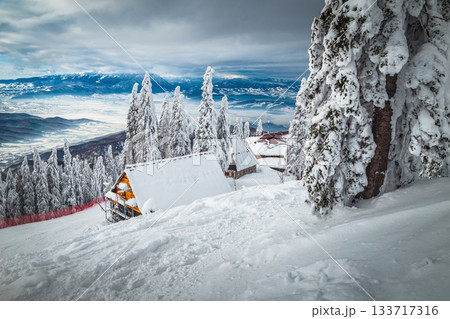 Snowy winter scenery with snow covered pines and wooden houses 133717316