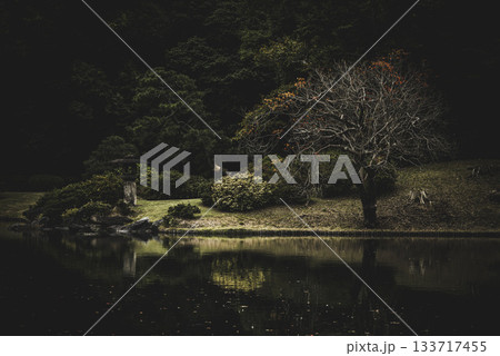 秋の日本庭園の風景　東京　六義園 133717455