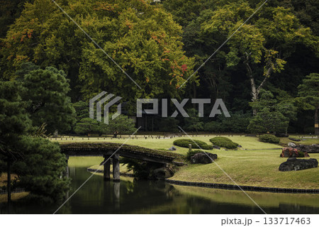 秋の日本庭園の風景　東京　六義園 133717463
