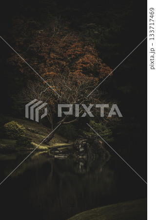 秋の日本庭園の風景　東京　六義園 133717469