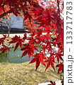 丸池湧水と紅葉 133717783