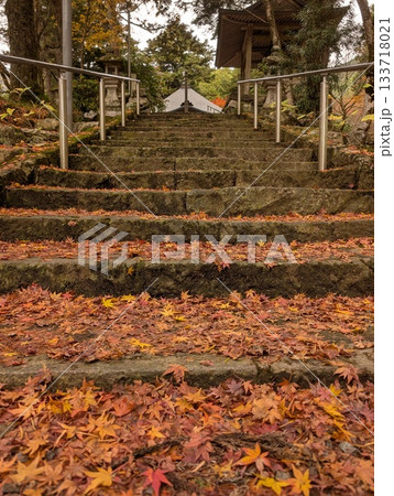 散り紅葉で彩られた晩秋の寺院の石段 133718021
