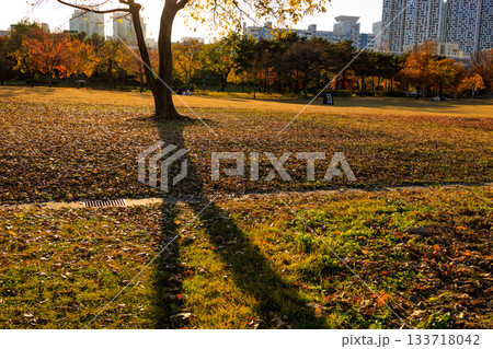 秋の彩りが美しい漢江公園の風景 秋の彩りが美しい漢江公園の風景 133718042