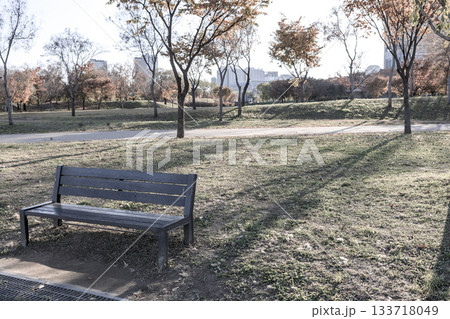 秋の彩りが美しい漢江公園の風景 秋の彩りが美しい漢江公園の風景 133718049