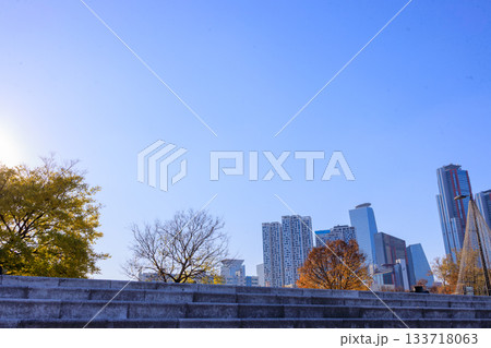 秋の彩りが美しい漢江公園の風景 秋の彩りが美しい漢江公園の風景 133718063
