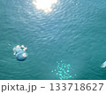 青いクラゲ 133718627