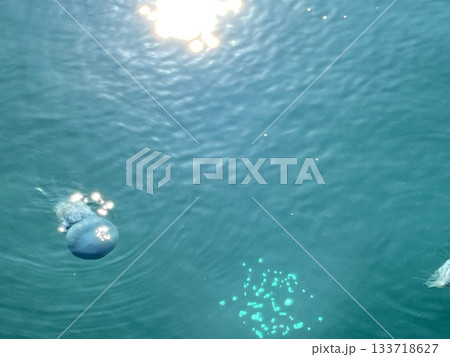 青いクラゲ 青いクラゲ 133718627