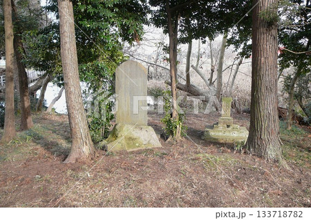 埼玉県:逆木の池/池の畔の石碑/鶴ヶ島市三ツ木新町 埼玉県:逆木の池/池の畔の石碑/鶴ヶ島市三ツ木新町 133718782