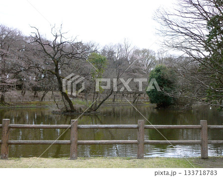 埼玉県：逆木の池／鶴ヶ島市三ツ木新町 133718783