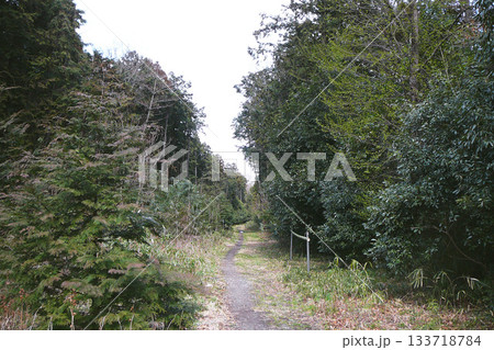 埼玉県：林の間の未舗装道路（神稲荷大明神前の道）／鶴ヶ島市高倉 133718784