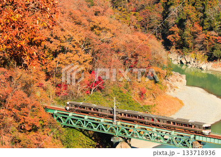 紅葉が美しい錦秋の天竜峡 133718936