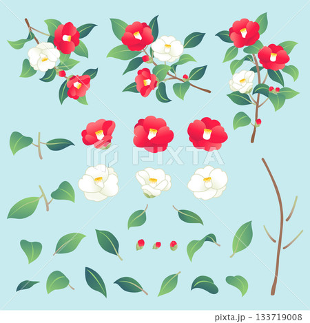 赤と白の椿の花　パーツのイラスト素材 133719008