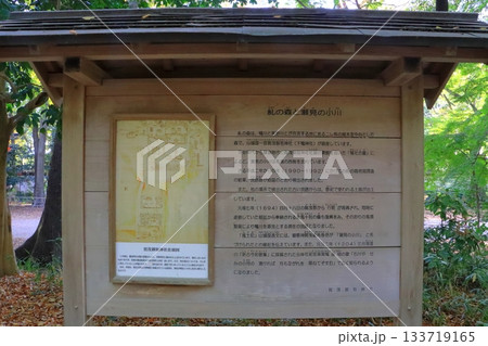 下鴨神社(糺の森と瀬見の小川・京都市) 下鴨神社(糺の森と瀬見の小川・京都市) 133719165
